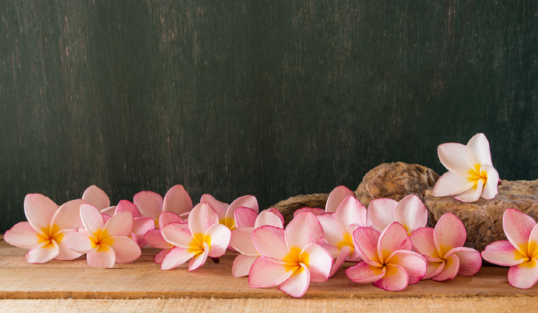 Adding Hawaiian Leis to Your Summer Party Makes Instagram-worthy Photos