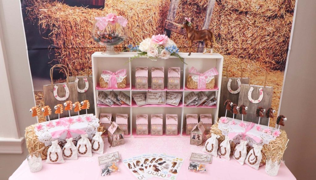 cowgirl party supplies