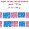 Mexico Papel Picado Gender Reveal