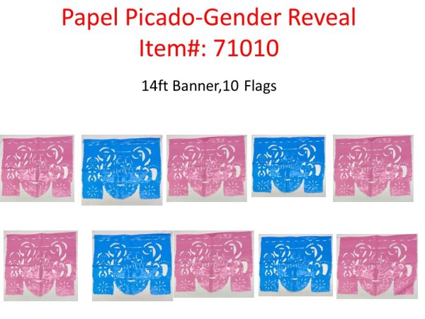 Mexico Papel Picado Gender Reveal