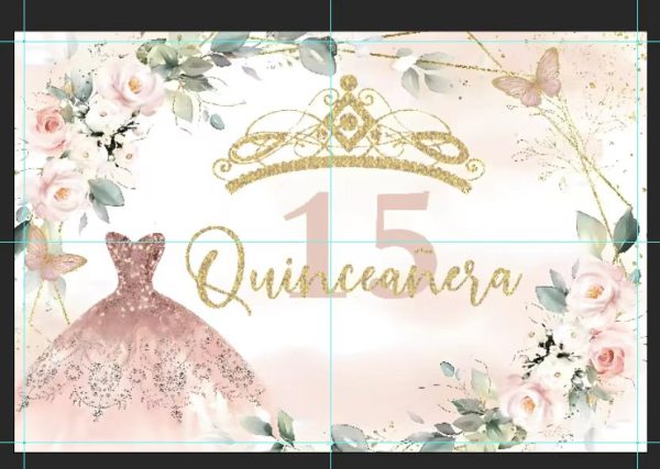 Vinyl Party Backdrop Banner Mis Quinceanera