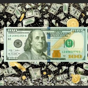 Vinyl Party Backdrop Banner Dollars