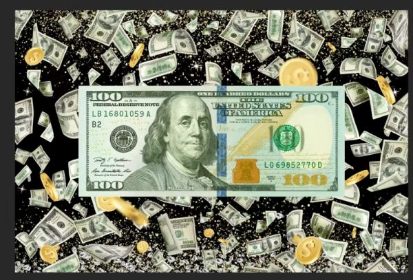 Vinyl Party Backdrop Banner Dollars