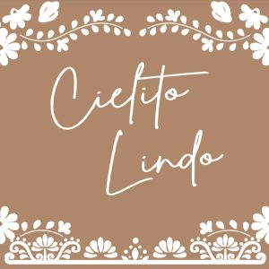 Vinyl Party Backdrop Banner, Cielito Lindo