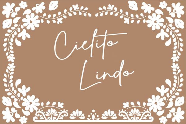 Vinyl Party Backdrop Banner, Cielito Lindo