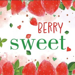 Vinyl Party Backdrop Banner BERRY SWEET/STRAWBERRY