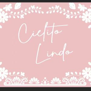 Vinyl Party Backdrop Banner ,Cielito Lindo Pink