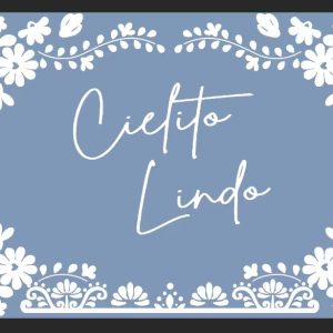 Vinyl Party Backdrop Banner ,Cielito Lindo Blue