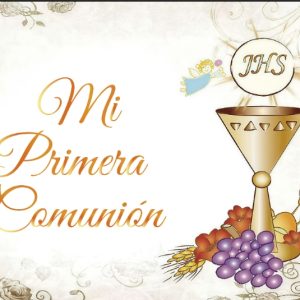 Vinyl Party Backdrop Banner ,Mi Primera Comunion